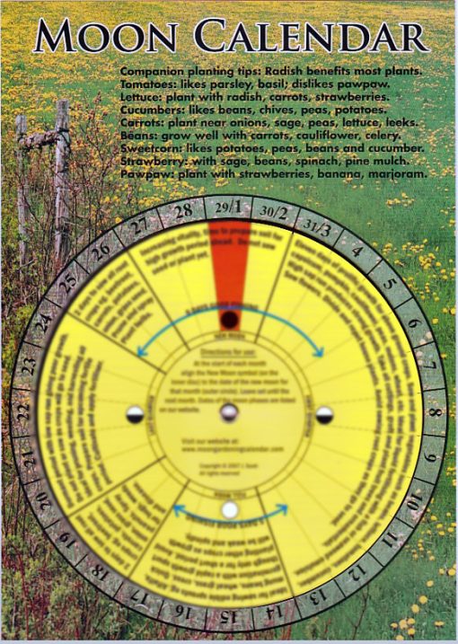 Moon Gardening Calendar Design 1 Moon Gardening Calendar