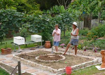 herb garden layout