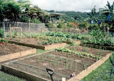 Garden Beds