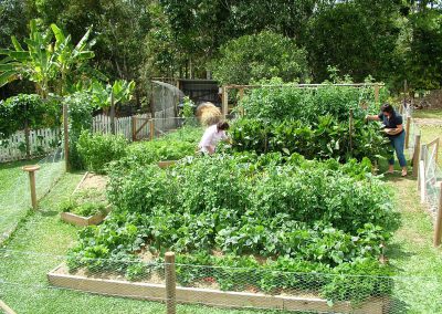 Garden Beds