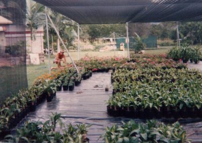 Scott nursery 1990s_2